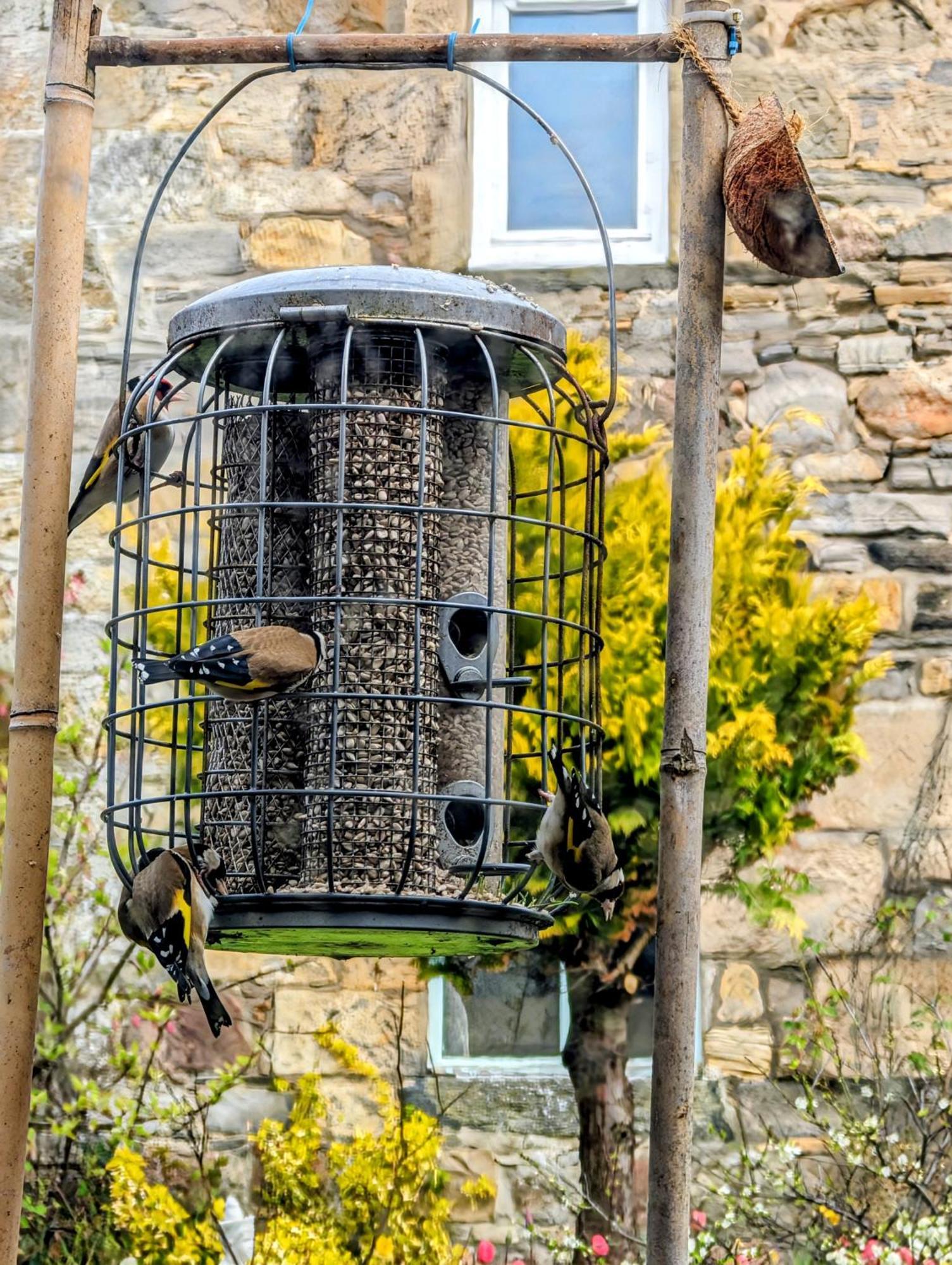 Bed and Breakfast Sea Song, Selkie House Helmsdale Exterior foto